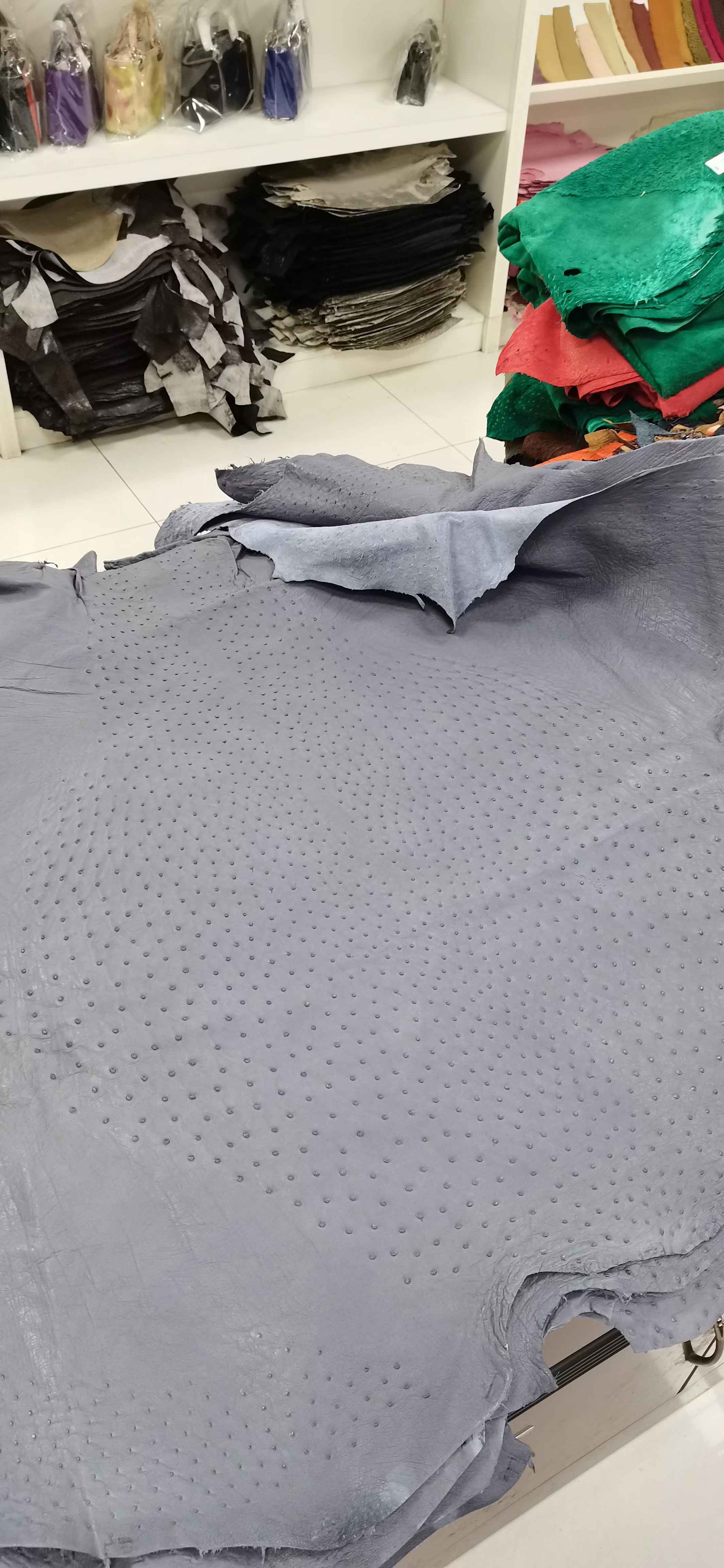 新到进口鸵鸟皮料