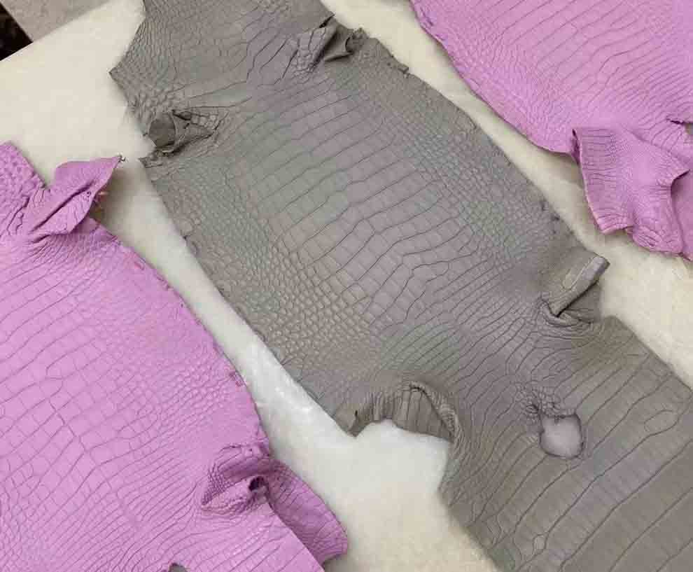 Constance 18 美洲方