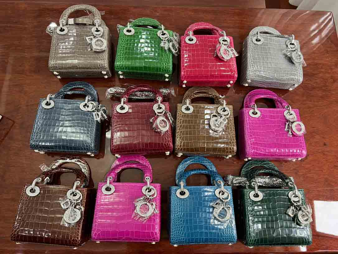 美洲鳄高光迪奥三格 2