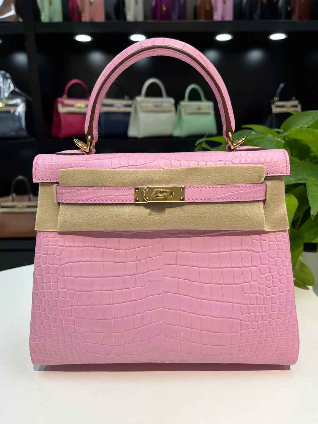 樱花粉湾鳄鳄鱼